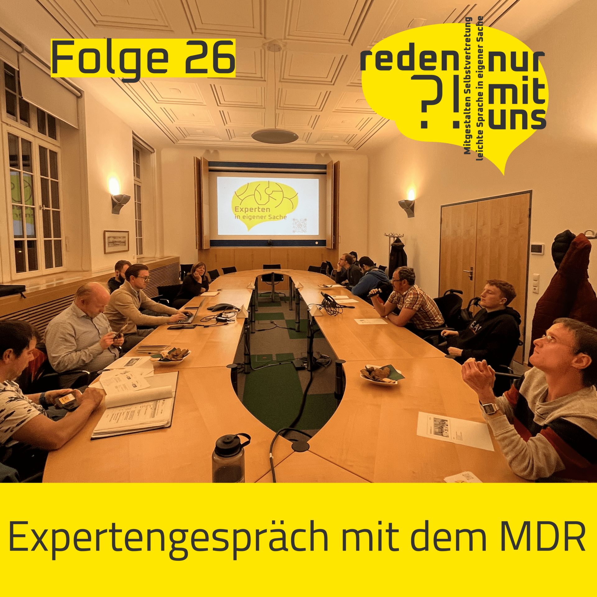 Cover: Nicht ohne uns: Leichte Sprache in den Medien